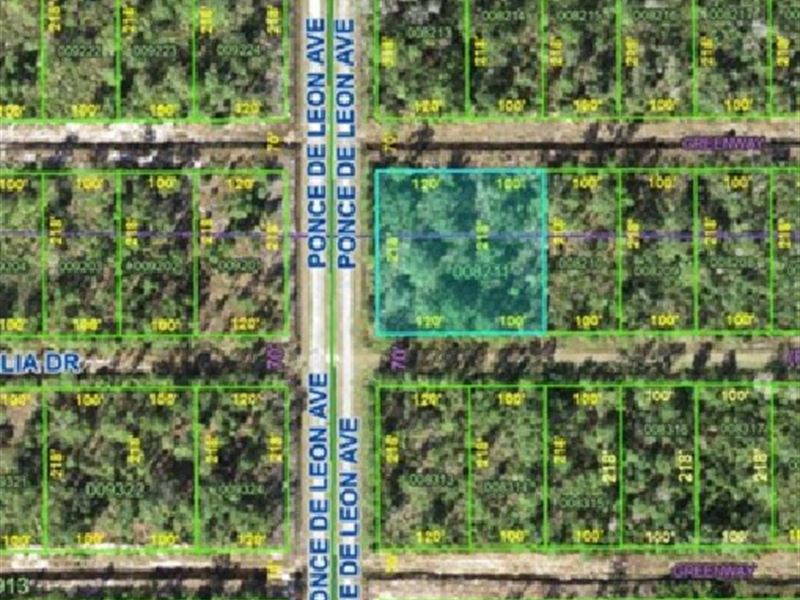 Build Your Forever Home $346/Mo : Indian Lake Estates : Polk County : Florida