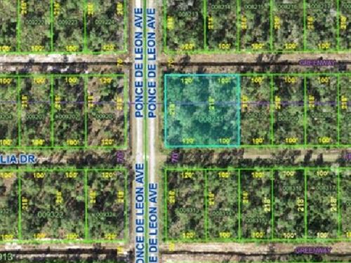 Build Your Forever Home $346/Mo : Indian Lake Estates : Polk County : Florida