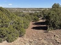 Hilltop Lot with Power and Water : Concho : Apache County : Arizona