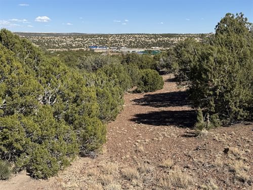 Hilltop Lot with Power and Water : Concho : Apache County : Arizona