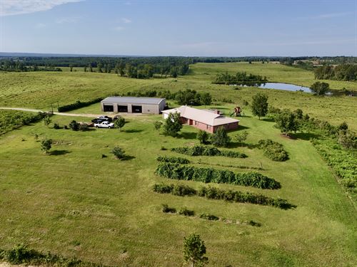 10 Shy Homestead : Clopton : Henry County : Alabama