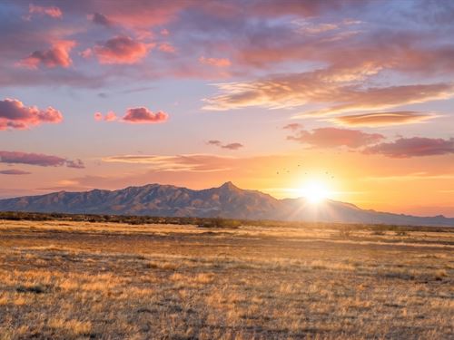 Off-Grid Land, Luna NM : Deming : Luna County : New Mexico