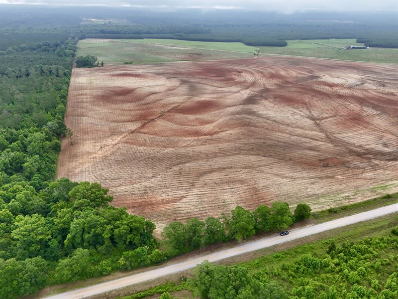 County Line Pasture Land : Clopton : Henry County : Alabama