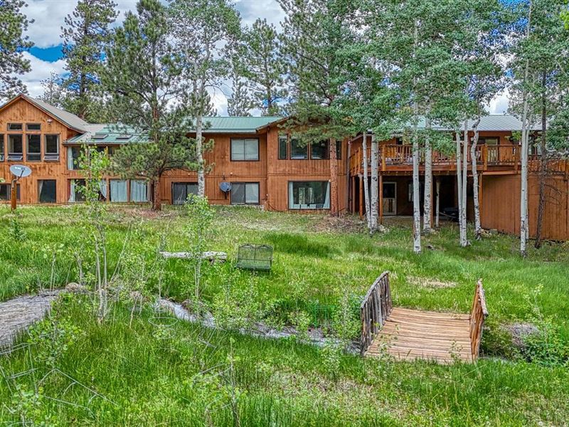 Beautiful Mountain Retreat : Buena Vista : Chaffee County : Colorado