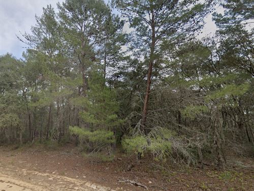 Build-Ready Lot in Interlachen Lake : Interlachen : Putnam County : Florida
