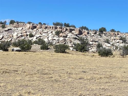 Saint Johns Land for Sale : Saint Johns : Apache County : Arizona