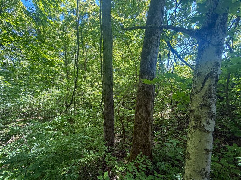 Keffer Rd 2.7 : Stockport : Morgan County : Ohio