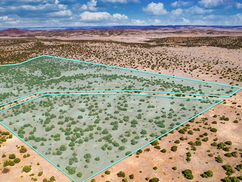 Ranch w Power Bordering Blm Land : Quemado : Catron County : New Mexico