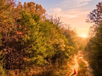 Two Lakes, Horseshoe Bend : Horseshoe Bend : Izard County : Arkansas