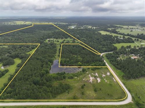 165 Acres, County Road 227 : Bedias : Grimes County : Texas