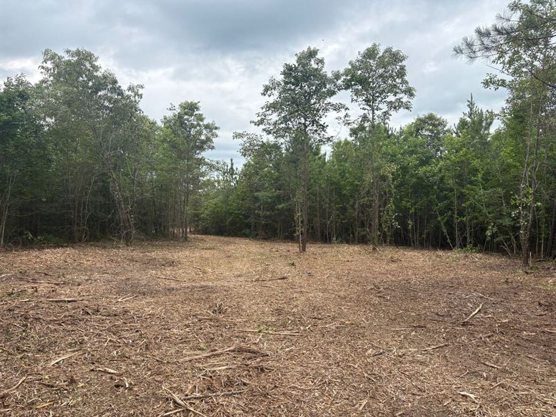 6 Ac Homesite, Paved Frontage : Sandersville : Washington County : Georgia
