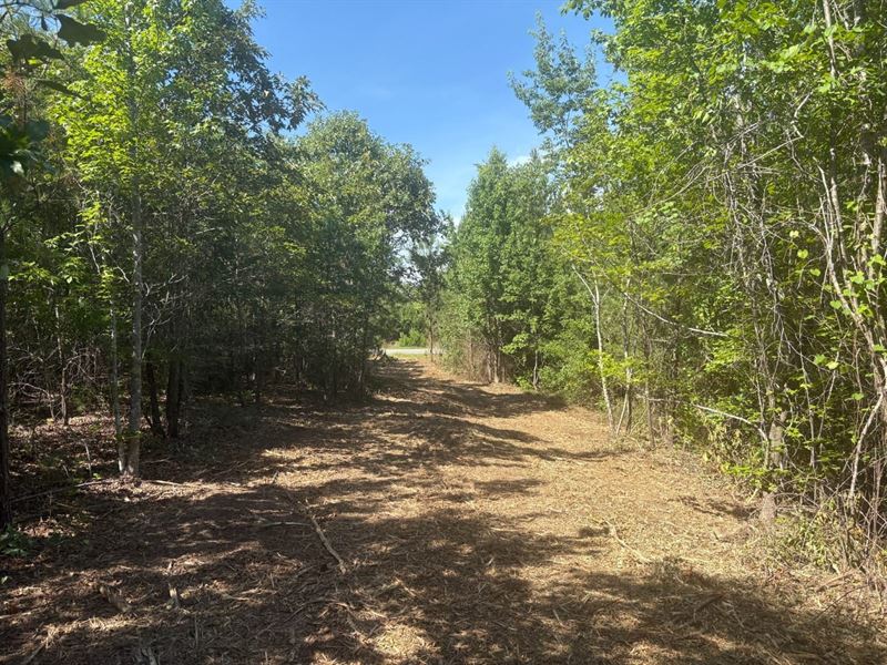 Rural Homesite Close to Milledgevil : Sandersville : Washington County : Georgia