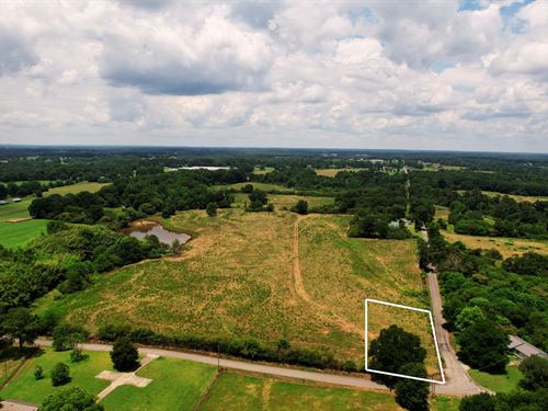 Welti Home Lot, 1.17 Acres Cull : Hanceville : Cullman County : Alabama