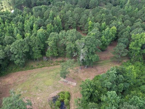 47 Acres in Covington County in Tay : Taylorsville : Covington County : Mississippi