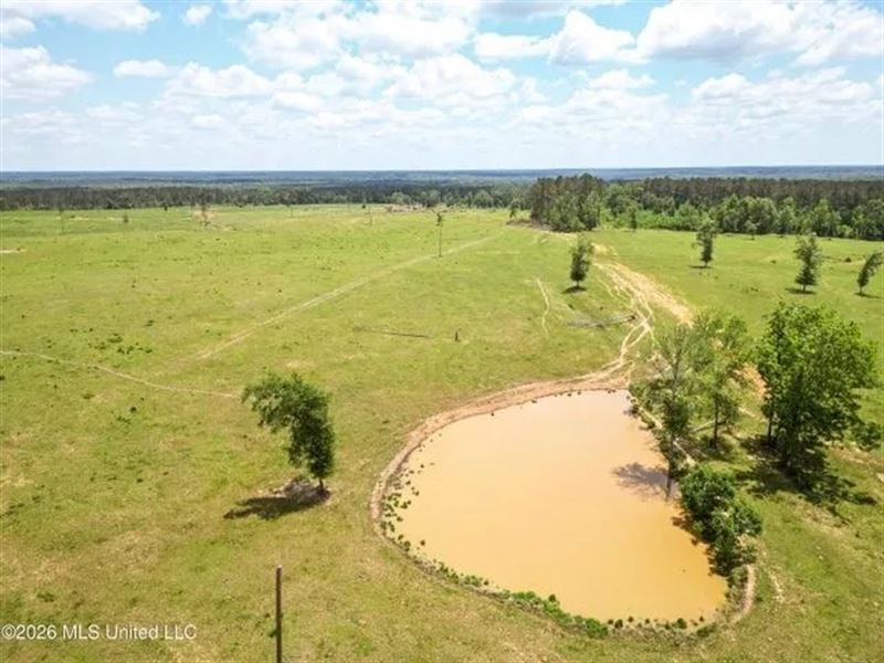 Pasture Land for Sale in Lincoln Co : Ruth : Lincoln County : Mississippi