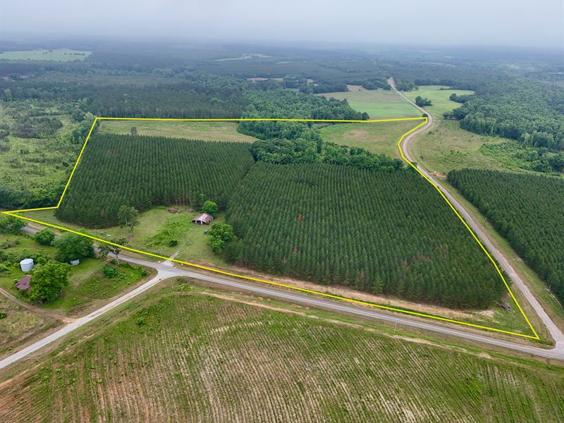 Searcy Branch Timber and Rec : Clopton : Henry County : Alabama