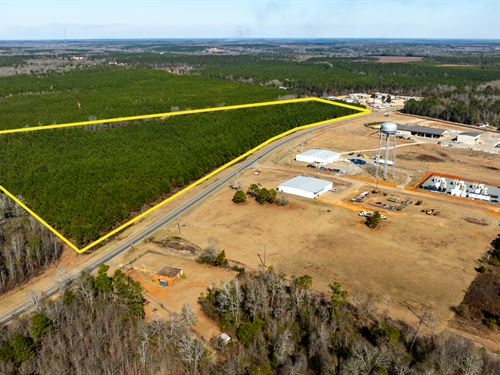 Nipper Tract Development Land : Cuthbert : Randolph County : Georgia
