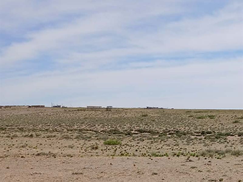 Unrestricted 1+ Acres Of Freedom : Veguita : Socorro County : New Mexico