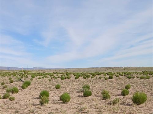 1 Ac Of No Zoning On Open Desert : Veguita : Socorro County : New Mexico