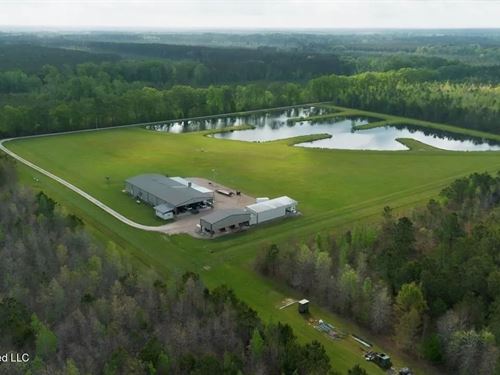 Paradise Whitetails in Oakdale, LA : Oakdale : Evangeline Parish : Louisiana