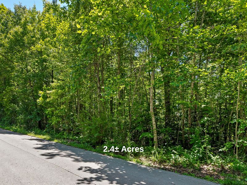 Mountaintop Acreage : Signal Mountain : Hamilton County : Tennessee