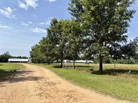 South Butler Springs Mini Farm : Forest Home : Butler County : Alabama