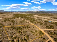 Views, Trees, Near Fort Garland, CO : Fort Garland : Costilla County : Colorado