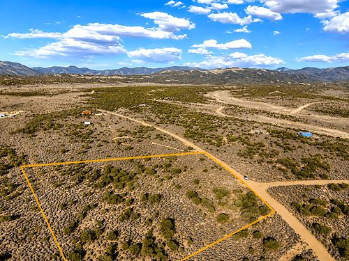 Views, Trees, Near Fort Garland, CO : Fort Garland : Costilla County : Colorado
