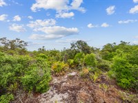 .23 Acres in Lake Placid, Florida : Lake Placid : Highlands County : Florida