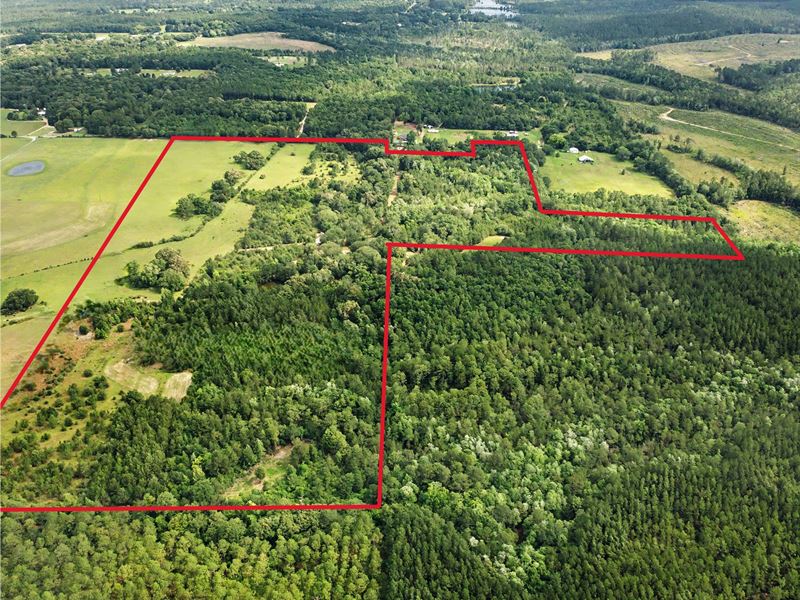 Crestview 85 : Laurel Hill : Okaloosa County : Florida