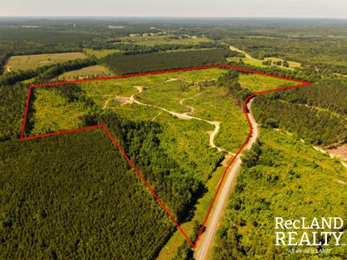 104 ac, Hunting & Timber Tract : Philadelphia : Kemper County : Mississippi