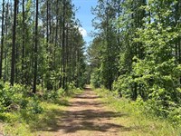 Lake Country Timber & Recreation : Milledgeville : Baldwin County : Georgia