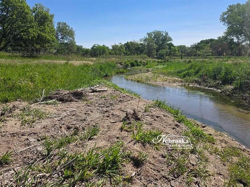 Bartley Republican River Habitat : Bartley : Red Willow County : Nebraska