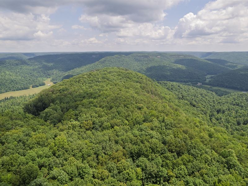 Jane Point, 380 Acres on The Cu : Jamestown : Fentress County : Tennessee