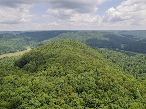 Jane Point, 380 Acres on The Cu : Jamestown : Fentress County : Tennessee