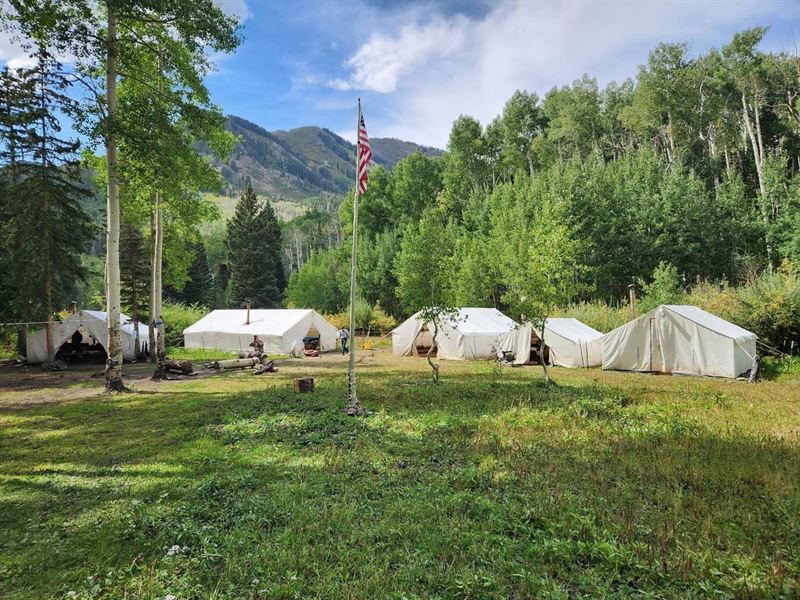 Colorado Elk and Mule Deer Hunting : Crawford : Delta County : Colorado