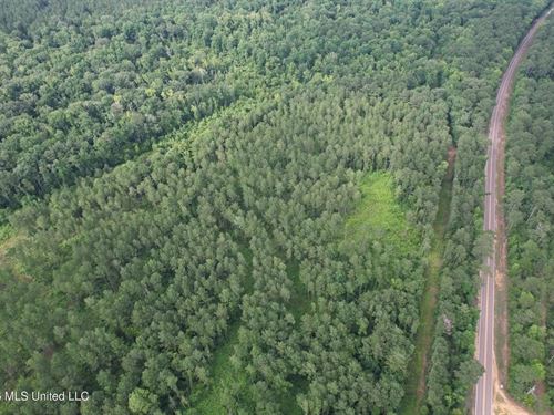 155 Acres Hunting Land For Sale : Gloster : Amite County : Mississippi