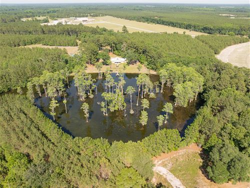 Deer Pond Tract : Estill : Hampton County : South Carolina