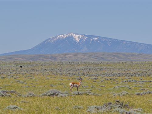 651 Acres in Medicine Bow, Wyoming : Medicine Bow : Carbon County : Wyoming