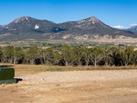 251 Acres Building Land & Hunting : Hotchkiss : Delta County : Colorado