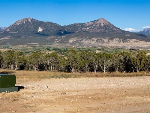 251 Acres Building Land & Hunting : Hotchkiss : Delta County : Colorado