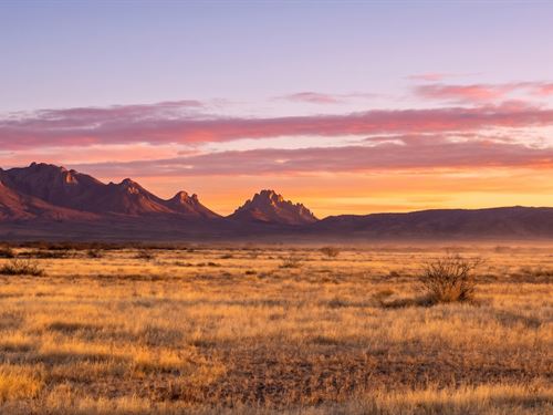 1 Acre Escape, Luna NM : Deming : Luna County : New Mexico