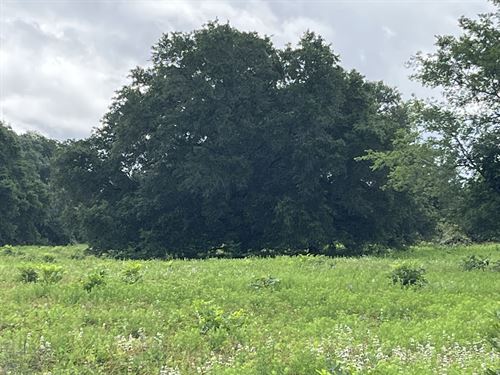 Catania Ranch : Thompsons : Fort Bend County : Texas