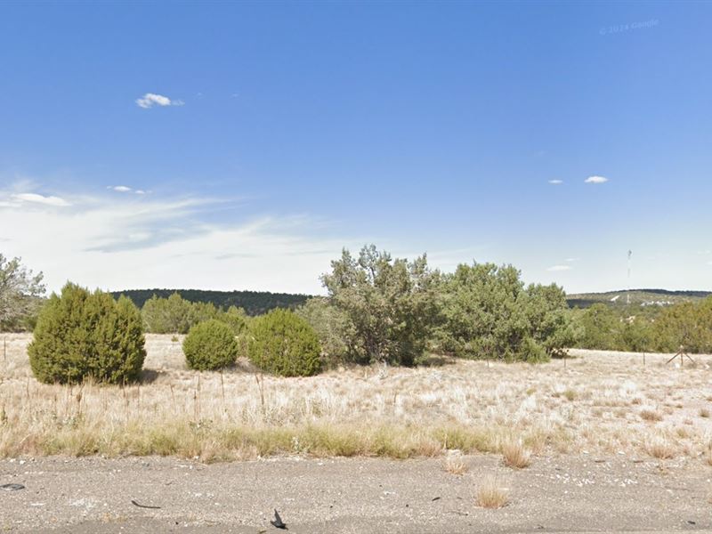 Secure Your Forever Views : Seligman : Yavapai County : Arizona