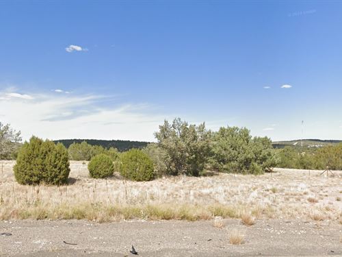 Secure Your Forever Views : Seligman : Yavapai County : Arizona