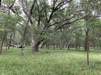 Kincer Road Ranch : Damon : Fort Bend County : Texas