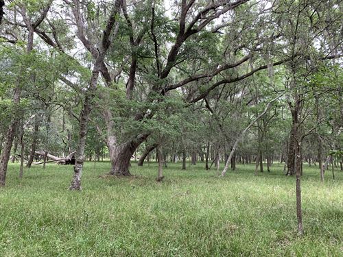 Kincer Road Ranch : Damon : Fort Bend County : Texas