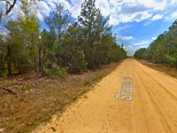 Land Deal You Can't Ignore : Interlachen : Putnam County : Florida