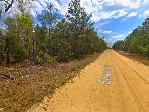 Land Deal You Can't Ignore : Interlachen : Putnam County : Florida