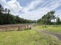 Ozark Mountain Land Ready to Build : Dover : Pope County : Arkansas